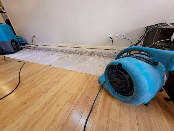 Professional Structural Drying technician working in Madison, NC